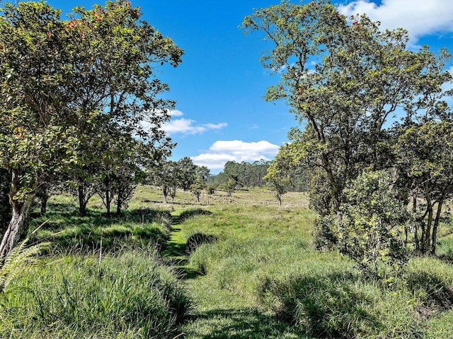 47-5254 Waikoekoe Ln, Honokaa, HI 96727 - view of local wilderness