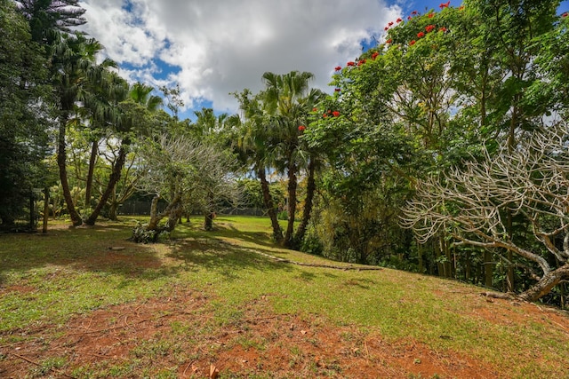 6052 Hauiki Rd Unit 1, Kapaa, HI 96746 - view of green lawn