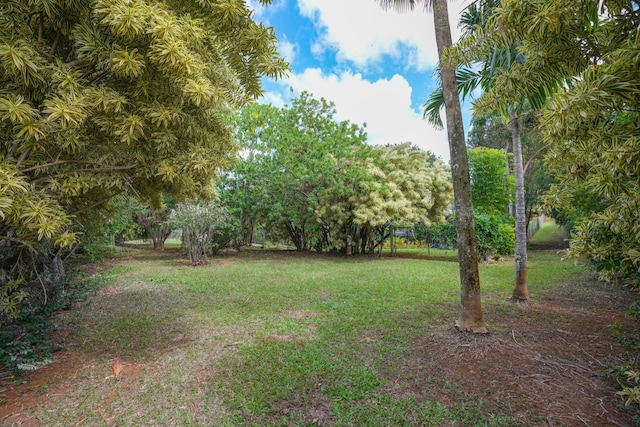 6052 Hauiki Rd Unit 1, Kapaa, HI 96746 - view of green lawn