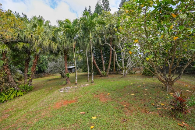 6052 Hauiki Rd Unit 1, Kapaa, HI 96746 - view of green lawn