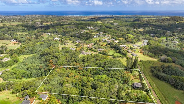 6052 Hauiki Rd Unit 1, Kapaa, HI 96746 - aerial view of property and surrounding area with property boundaries highlighted and a forest