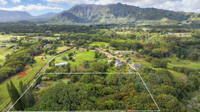 6052 Hauiki Rd Unit 1, Kapaa, HI 96746 - view of property location featuring property boundaries highlighted, a mountainous background, and a heavily wooded area