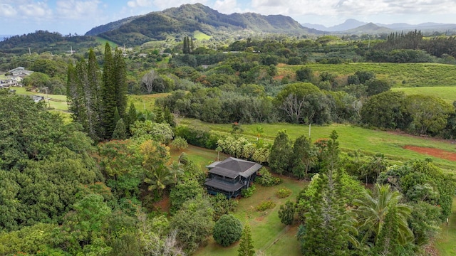 6052 Hauiki Rd Unit 1, Kapaa, HI 96746 - aerial view of property's location with a mountainous background