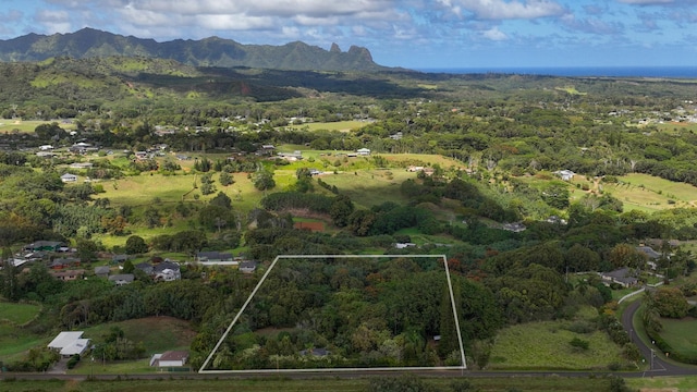 6052 Hauiki Rd Unit 1, Kapaa, HI 96746 - view of property location with property boundaries highlighted, a mountain backdrop, and a forest