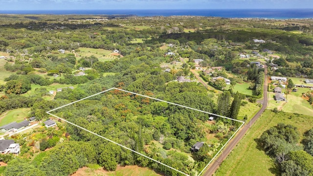 6052 Hauiki Rd Unit 1, Kapaa, HI 96746 - aerial view of property's location featuring property parcel outlined and a heavily wooded area