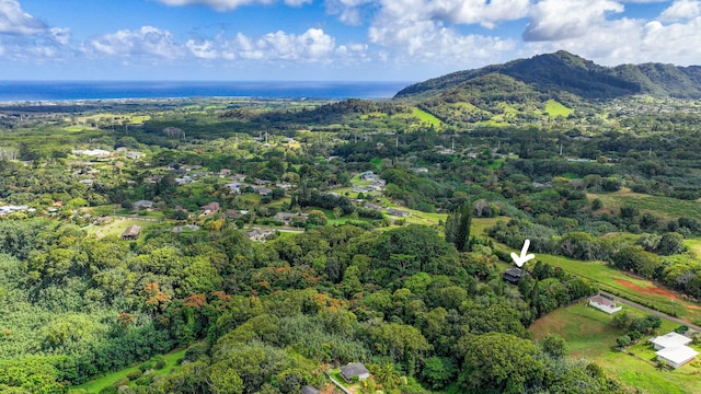 6052 Hauiki Rd Unit 1, Kapaa, HI 96746 - aerial overview of property's location featuring a heavily wooded area and mountains