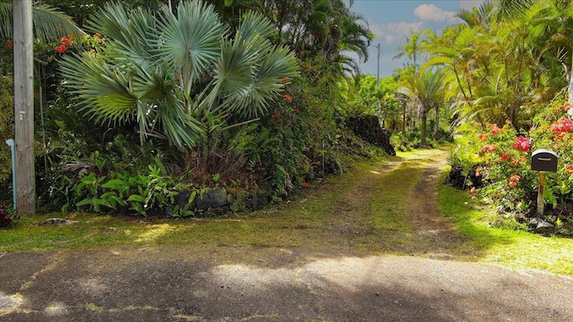 12-7158 Loke Pl, Pahoa, HI 96778 - view of yard