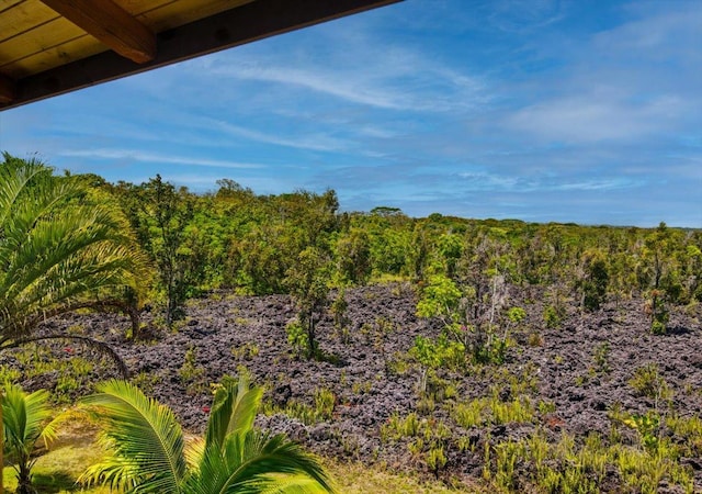 12-7158 Loke Pl, Pahoa, HI 96778 - view of tree filled area