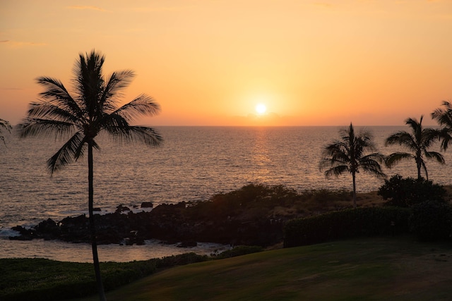 66-84 Kaunaoa Dr Unit C41, Kamuela, HI 96743 - water view