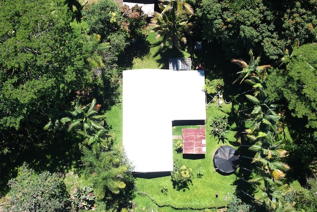 15-1784 30th Ave, Keaau, HI 96749 - view of subject property