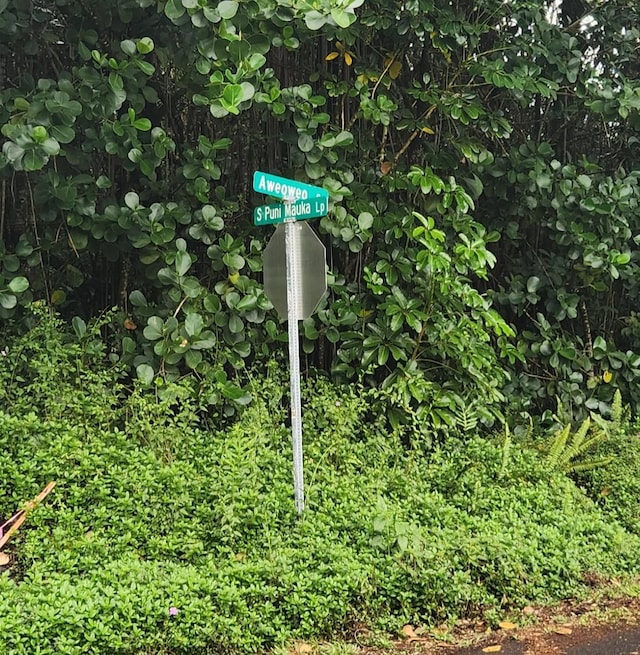 15-2774 Aweoweo St, Pahoa, HI 96778 - exterior view