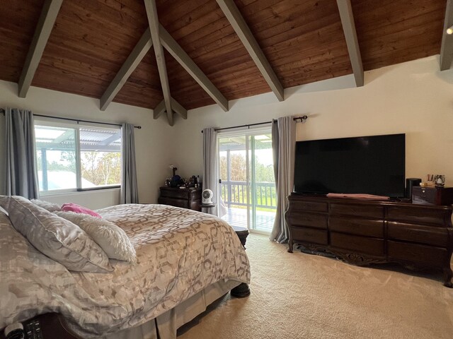 18-4565 Makaala Rd, Mountain View, HI 96785 - photo 10