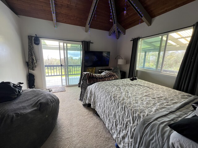 18-4565 Makaala Rd, Mountain View, HI 96785 - photo 14