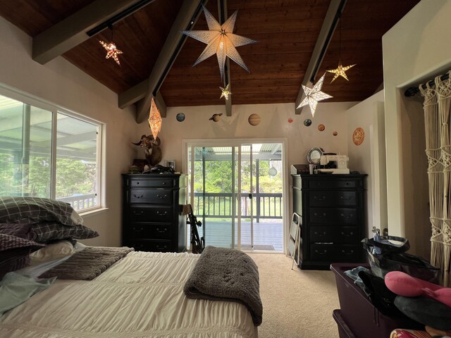 18-4565 Makaala Rd, Mountain View, HI 96785 - photo 16