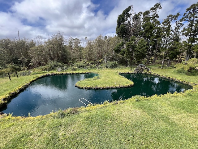 18-4565 Makaala Rd, Mountain View, HI 96785 - photo 22