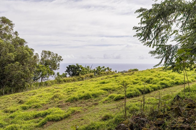 36-2615 Laupahoehoe Point Rd, Laupahoehoe, HI 96774