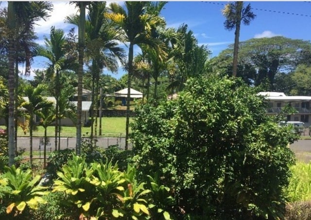 322 Ohai St Unit 16, Hilo, HI 96720 - view of gate