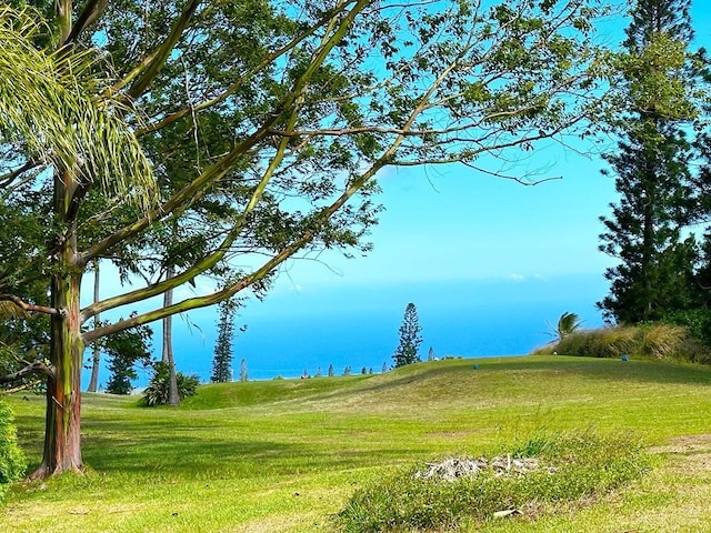 94-5826 Aouli Pl, Naalehu, HI 96772 - surrounding community featuring a yard