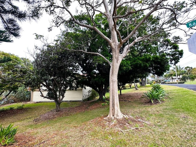 94-5826 Aouli Pl, Naalehu, HI 96772 - view of grassy yard