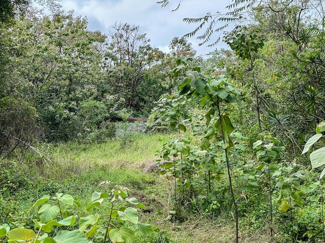 250 Laula Rd, Hilo, HI 96720