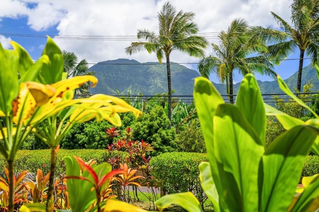 4800 Hanalei Plantation Rd Unit 9B, Princeville, HI 96722 - view of mountain background