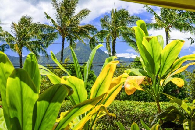 4800 Hanalei Plantation Rd Unit 9B, Princeville, HI 96722 - exterior view of a mountain backdrop