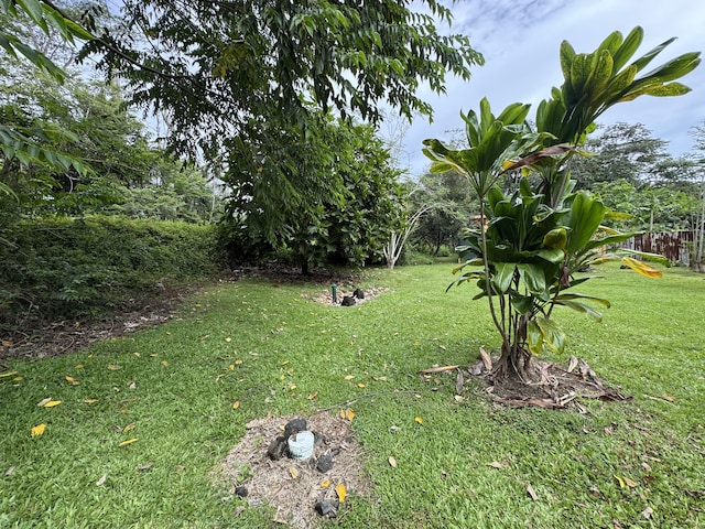 15-2769 Nehu St, Pahoa, HI 96778 - photo 9