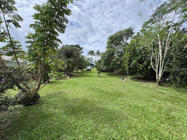15-2769 Nehu St, Pahoa, HI 96778 - photo 10