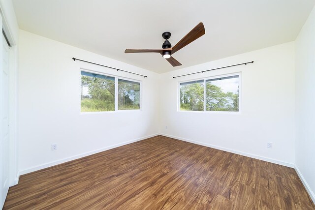 18-4259 Pszyk Rd, Mountain View, HI 96771 - spare room featuring plenty of natural light, dark wood-style flooring, a ceiling fan, and baseboards