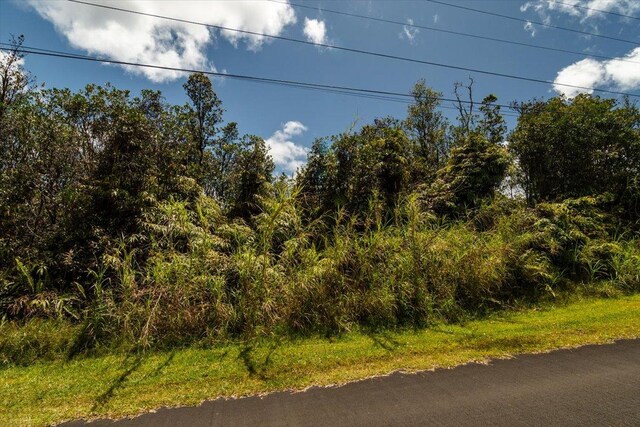 Anthurium St, Mountain View, HI 96771 - photo 12
