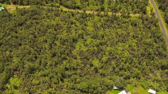 Anthurium St, Mountain View, HI 96771 - photo 16
