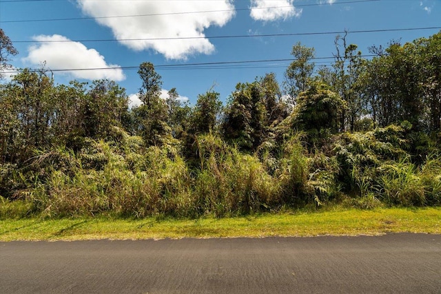 Anthurium St, Mountain View, HI 96771 - photo 14