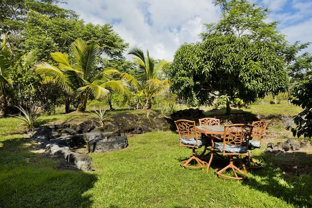 15-1697 7th Ave, Keaau, HI 96749 - view of grassy yard