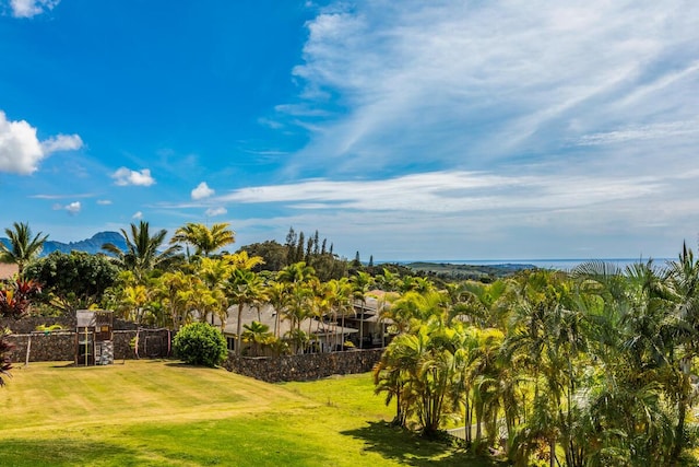 1187 Nohea St, Kalaheo, HI 96741 - view of yard