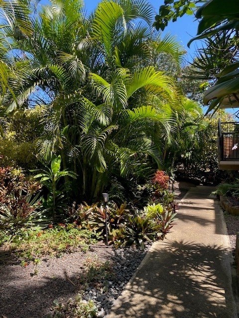5061 Lawai Rd Unit 203, Koloa, HI 96756 - view of yard
