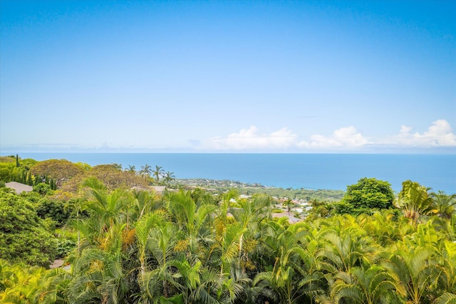 76-981 Aeo St, Kailua-Kona, HI 96740 - water view