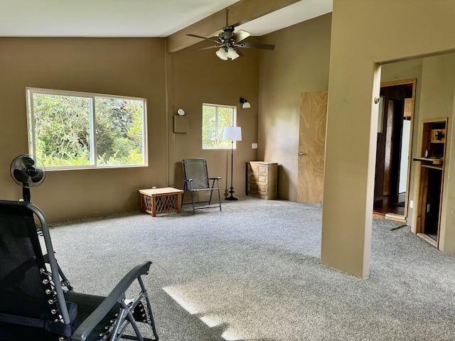 13-1382 Pueo St, Pahoa, HI 96778 - sitting room featuring carpet flooring, a ceiling fan, and vaulted ceiling