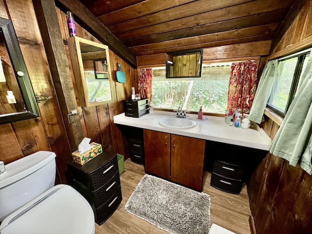 13-1382 Pueo St, Pahoa, HI 96778 - bathroom featuring lofted ceiling, wooden ceiling, wooden walls, vanity, and wood finished floors