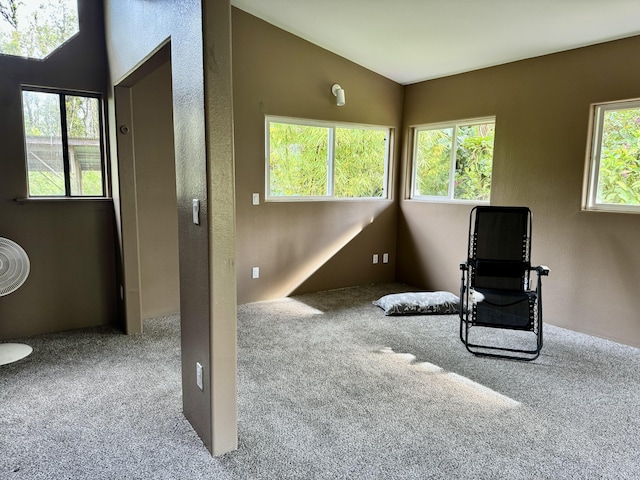 13-1382 Pueo St, Pahoa, HI 96778 - sitting room featuring carpet floors, plenty of natural light, vaulted ceiling, and a textured wall