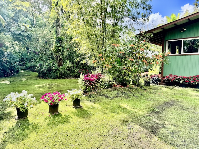 13-1382 Pueo St, Pahoa, HI 96778 - view of grassy yard