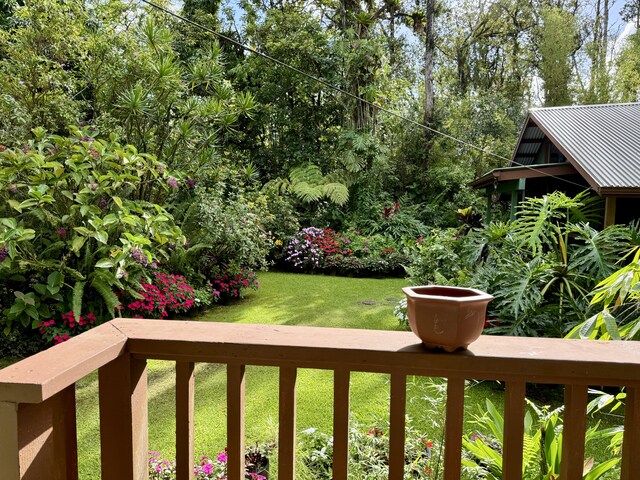 13-1382 Pueo St, Pahoa, HI 96778 - view of green lawn