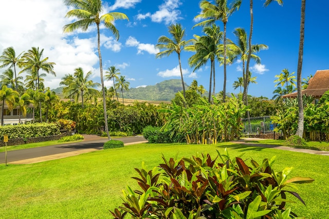 2370 Hoohu Rd Unit 712, Koloa, HI 96756 - view of yard