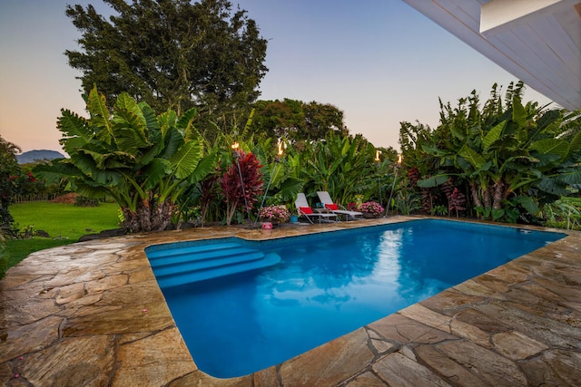 3042 Lauae Pl, Koloa, HI 96756 - swimming pool with a patio