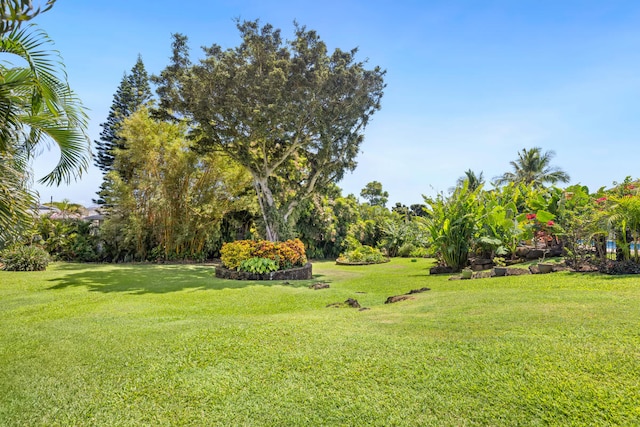 3042 Lauae Pl, Koloa, HI 96756 - view of green lawn