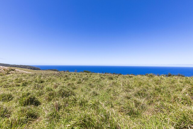36-239 Manowaiopae Homestead Rd, Laupahoehoe, HI 96764 - photo 3