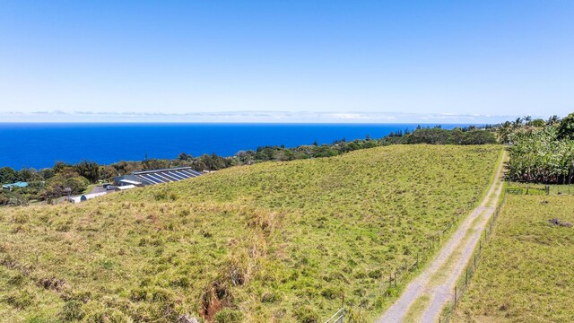 36-239 Manowaiopae Homestead Rd, Laupahoehoe, HI 96764 - photo 12