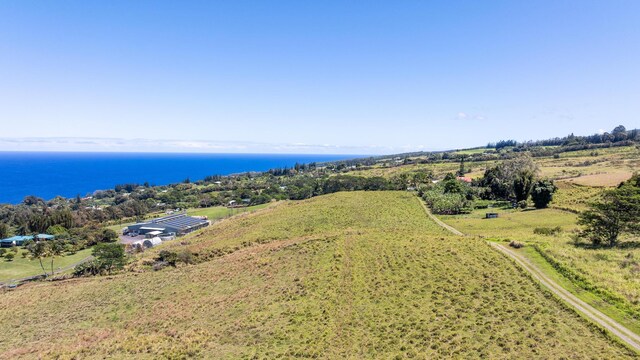 36-239 Manowaiopae Homestead Rd, Laupahoehoe, HI 96764 - photo 14