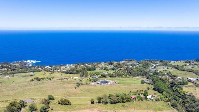 36-239 Manowaiopae Homestead Rd, Laupahoehoe, HI 96764 - photo 18