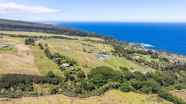 36-239 Manowaiopae Homestead Rd, Laupahoehoe, HI 96764 - photo 19