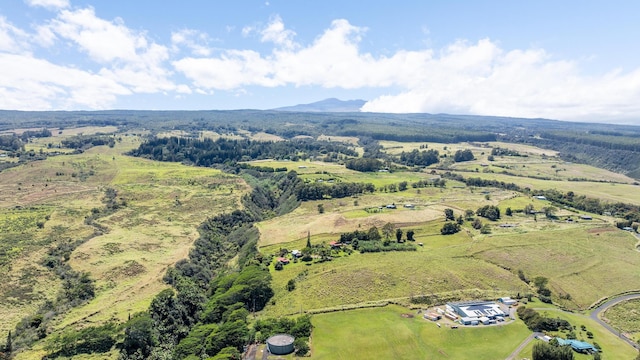 36-239 Manowaiopae Homestead Rd, Laupahoehoe, HI 96764 - photo 20